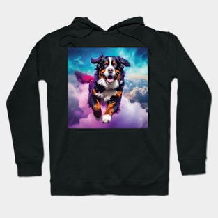 Bernese Mountain Dog Hoodie